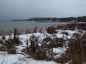 Looking back toward the marina.